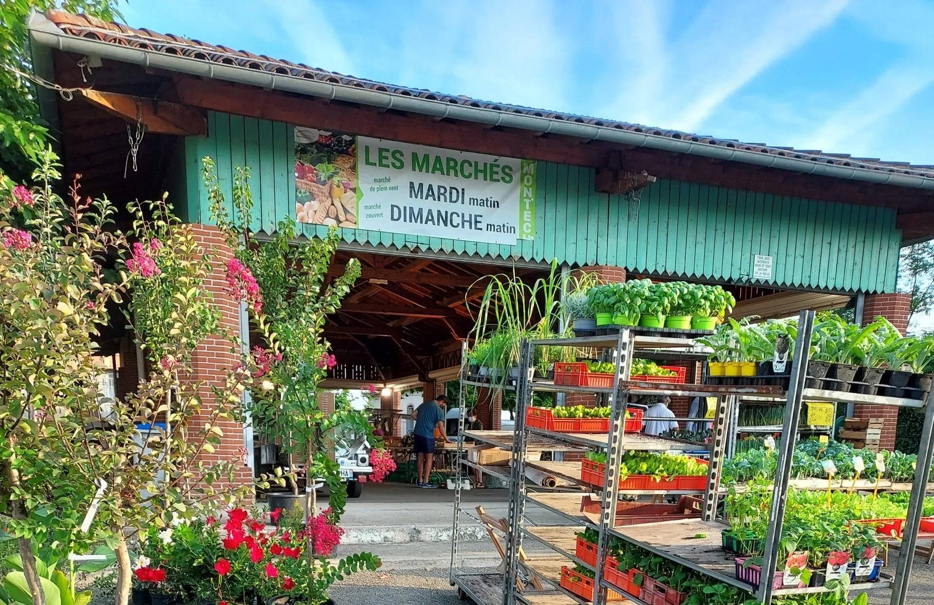 Pépinière Llanas